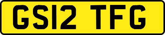 GS12TFG