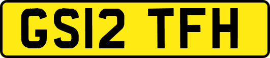 GS12TFH