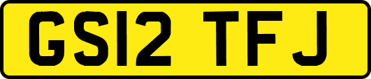 GS12TFJ