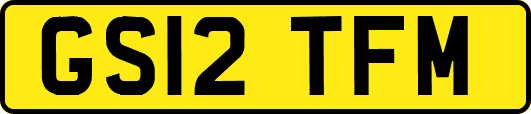 GS12TFM