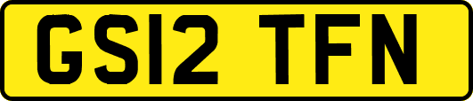 GS12TFN