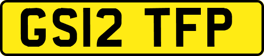GS12TFP