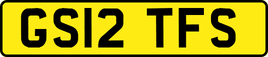 GS12TFS