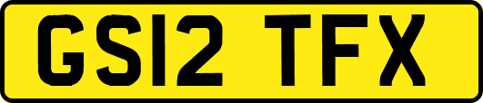 GS12TFX