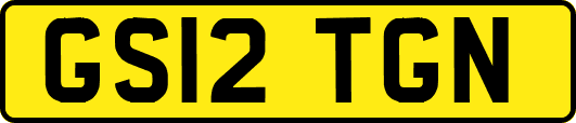 GS12TGN