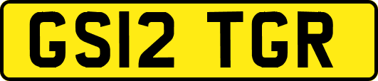 GS12TGR