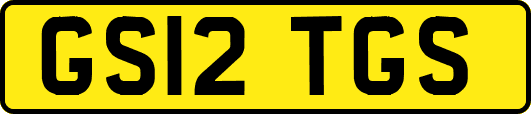 GS12TGS