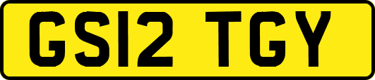 GS12TGY