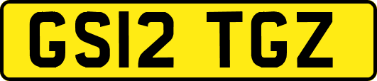 GS12TGZ