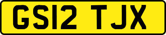 GS12TJX