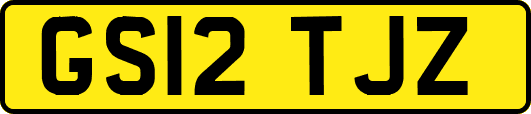 GS12TJZ