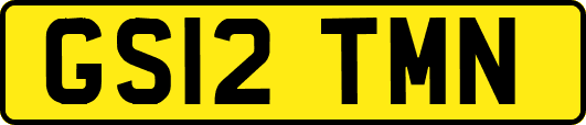 GS12TMN