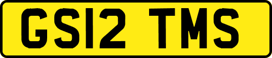 GS12TMS