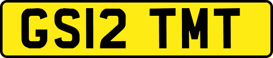 GS12TMT