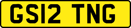 GS12TNG