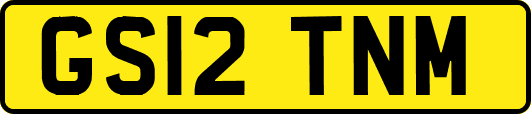 GS12TNM
