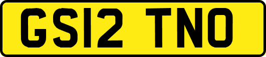 GS12TNO