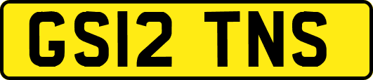 GS12TNS
