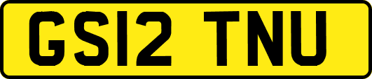 GS12TNU