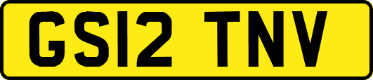 GS12TNV