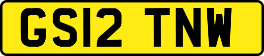 GS12TNW