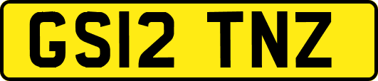 GS12TNZ