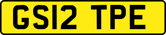 GS12TPE