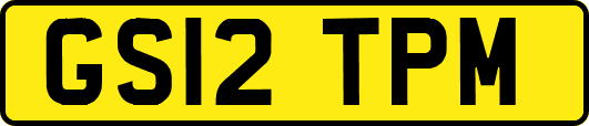 GS12TPM