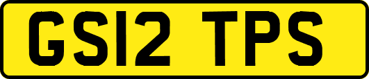 GS12TPS