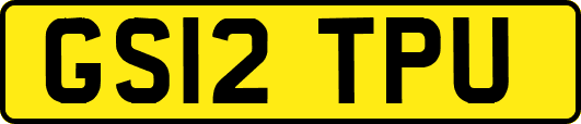 GS12TPU