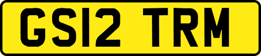 GS12TRM