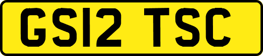 GS12TSC