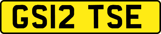 GS12TSE