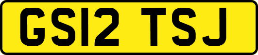 GS12TSJ