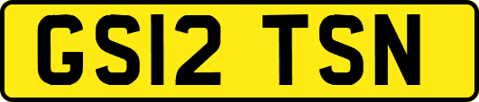 GS12TSN