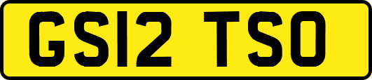 GS12TSO