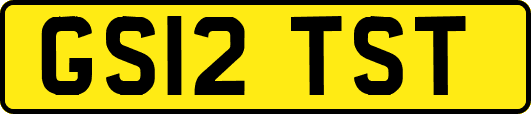 GS12TST