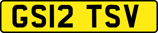 GS12TSV