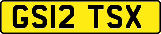 GS12TSX