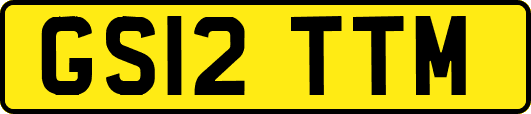 GS12TTM