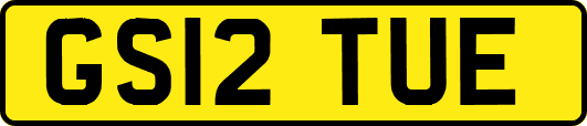 GS12TUE