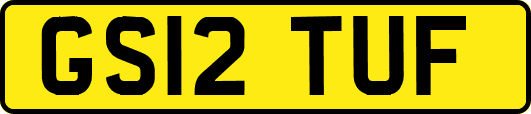 GS12TUF