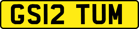 GS12TUM