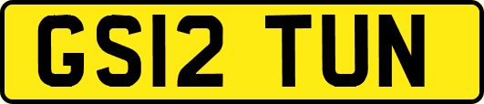 GS12TUN