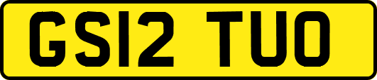 GS12TUO