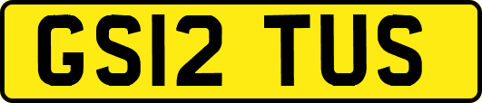 GS12TUS