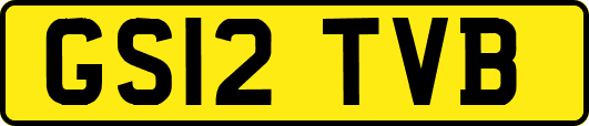 GS12TVB