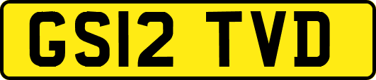 GS12TVD