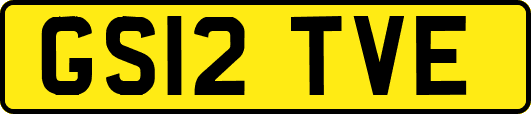 GS12TVE