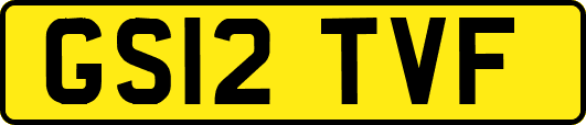 GS12TVF